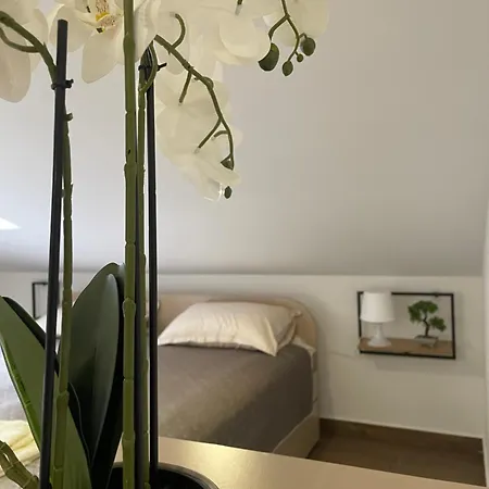 Апартаменты Joy 6 *